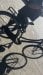 Gestolen Fiets Cortina U4